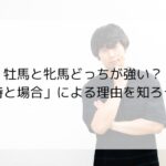 牡馬と牝馬どっちが強い？「時と場合」による理由を知ろう！